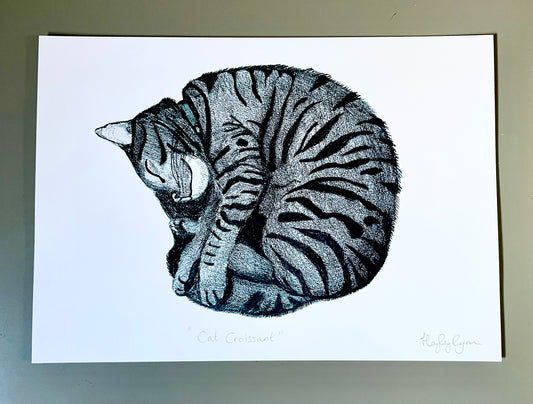 Sleeping Cat -“Cat Croissant “ Pencil Drawing Print