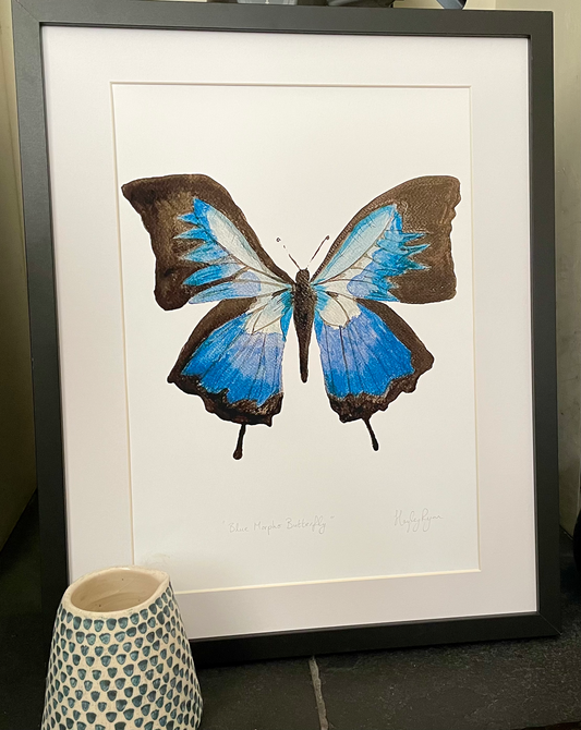 Butterfly Print"Blue Morpho Butterfly " Watercolour Print