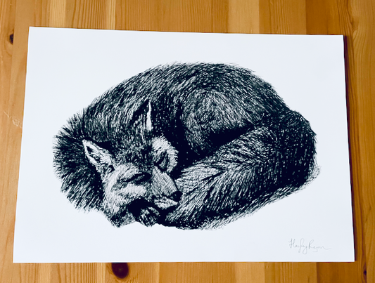 Fox Print-Fox Ballpoint Pen Drawing Print