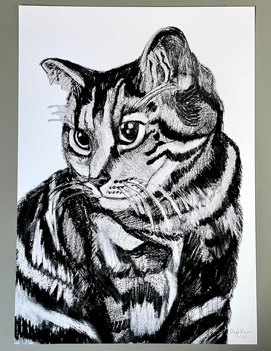 Tabby Cat Portrait-Pencil Drawing Print