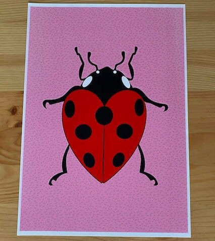 Ladybird Print-Lovebug